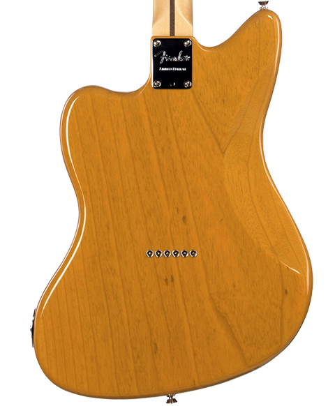 telemaster%20back.png