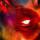 Metallica : Hardwired... to Self-Destruct