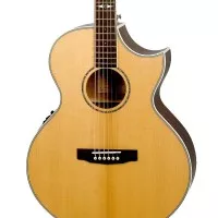 Une électro-acoustique baryton chez Cort