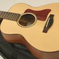 Test guitare Eastone MJ30