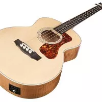 Basse acoustique compacte chez Guild