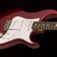 PRS et John Mayer revisitent la Stratocaster