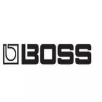 Roland France recrute un(e) spécialiste produits BOSS