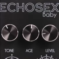 Test pédale delay Foxgear Echosex Baby