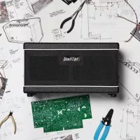 Bad Cat sort un ampli desktop Boutique