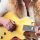 Jared James Nichols et Epiphone présentent la Gold Glory