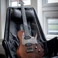 3 déclinaisons de Tele metal chez Solar
