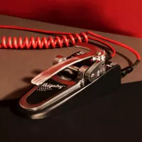 Découvrons la pédale Bigsby de Gamechanger Audio