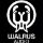Une nouvelle série complète de pédales Walrus Audio leakée sur Reddit