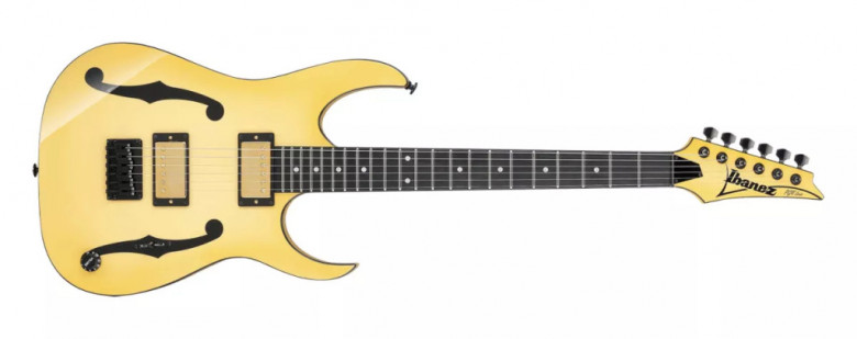 Guitare Ibanez PGM1000T