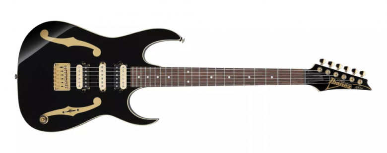 Guitare Ibanez PGM50