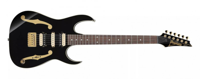 Guitare Ibanez PGM50