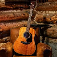Le géant acoustique Takamine rend sa production encore plus accessible avec la Global Line