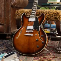 D'Angelico donne encore plus d'arguments à sa gamme de semi-hollow Premier