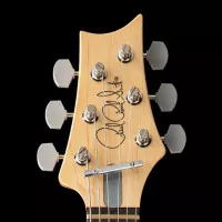 PRS rend hommage au Grateful Dead avec la nouvelle Dead Spec Silver Sky