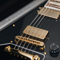 Scott Ian de Anthrax signe une nouvelle Jackson très classieuse