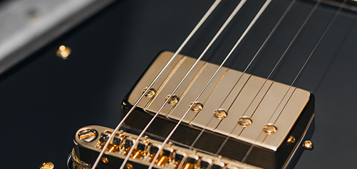 Scott Ian de Anthrax signe une nouvelle Jackson très classieuse