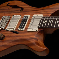 PRS met en avant le bois avec l'édition limitée S2 Special Reclaimed