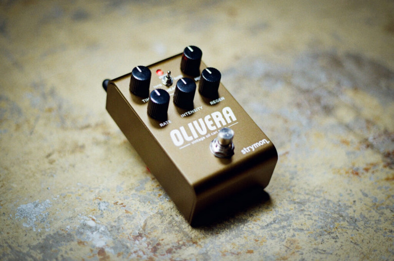 Strymon Olivera delay