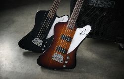 Gibson ramène la basse Thunderbird à la vie