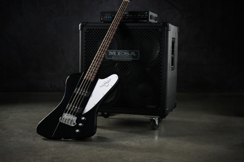 Gibson basse Thunderbird