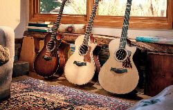 Taylor passe à la nouvelle génération pour son format compact