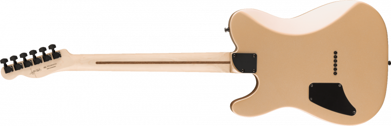 Fender Limited Edition Jim Root Telecaster Shoreline Gold back