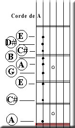 Partition 14 - Exo 12