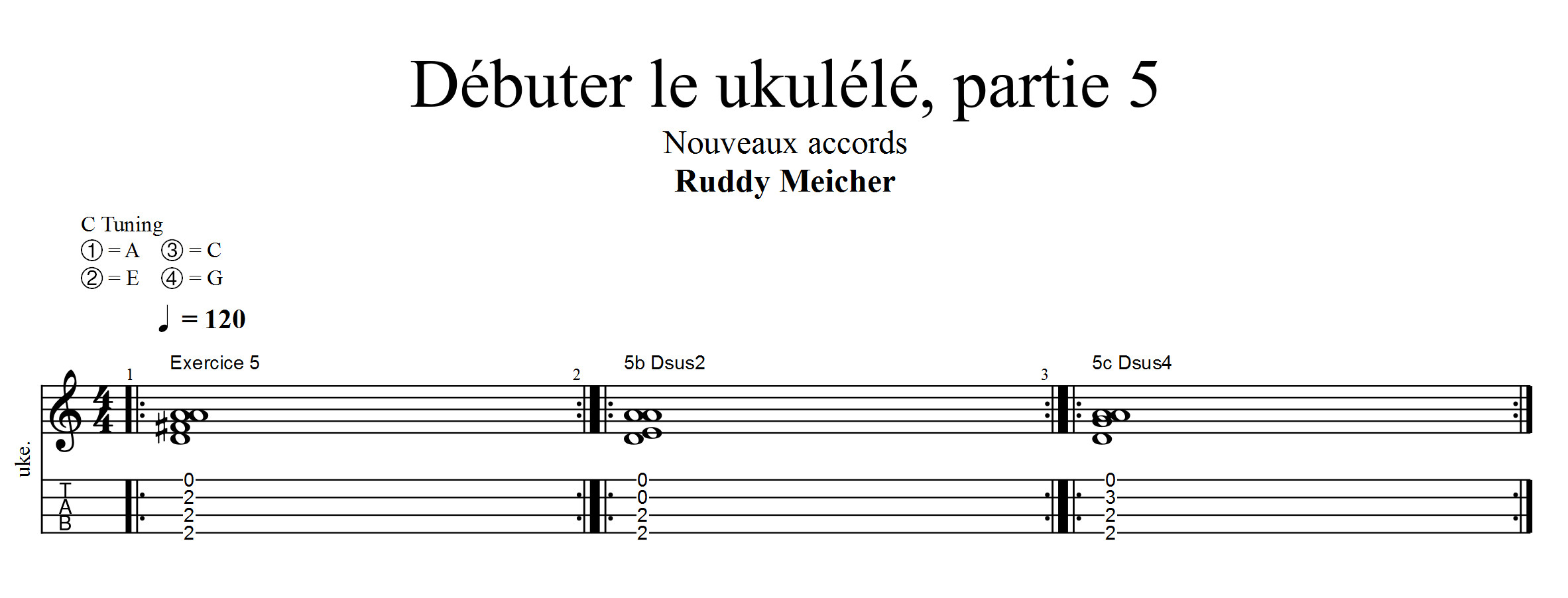Partition 4 - Exercice 5 : nouveaux accords de D