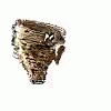Gold Warrior