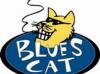 Bluesycat