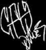 valcrazyguitar