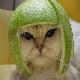 El Burikito