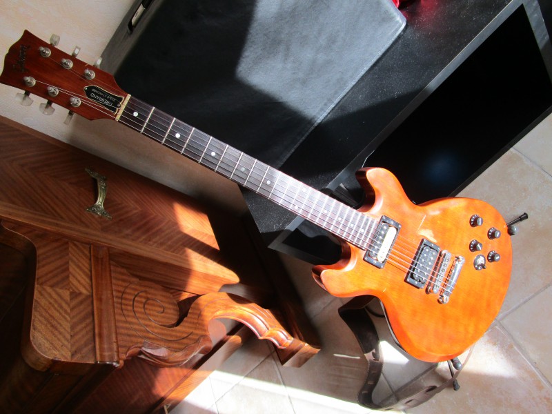 datant d’une Gibson L6S Ambala site de rencontre