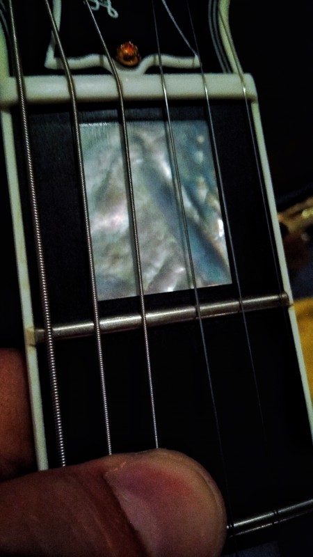 guitare-etat-frettes-553.jpeg