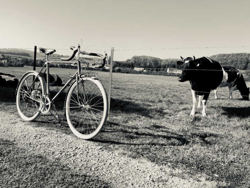 tuto guitare a bicyclette